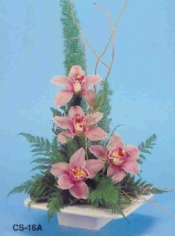 Antalya Melisa ieki telefonlar  vazoda 4 adet orkide 