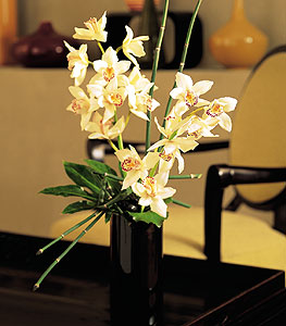  Antalya Melisa iekiler  cam yada mika vazo ierisinde dal orkide