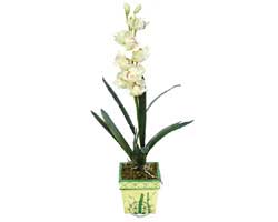 zel Yapay Orkide Beyaz   Antalya Melisa online ieki , iek siparii 