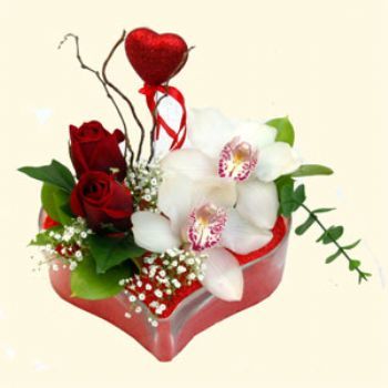  Antalya Melisa hediye sevgilime hediye iek  1 kandil orkide 5 adet kirmizi gl mika kalp