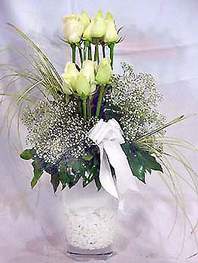 Antalya Melisa online iek gnderme sipari  9 adet vazoda beyaz gl - sevdiklerinize iek seimi