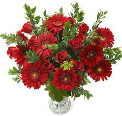 5 adet kirmizi gül 5 adet gerbera aranjmani  Antalya Melisa hediye çiçek yolla 
