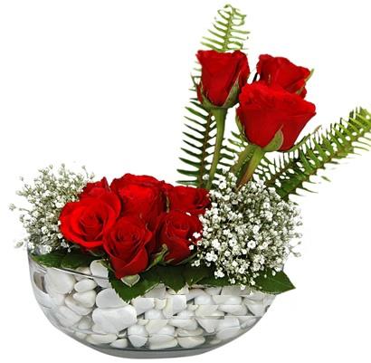 cam içerisinde 9 adet kirmizi gül  Antalya Melisa çiçek siparişi vermek 