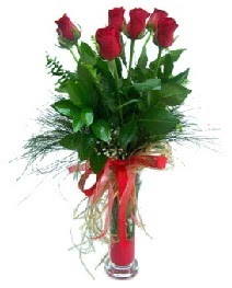 vazo içerisinde 5 kırmızı gül  Antalya Melisa güvenli kaliteli hızlı çiçek 