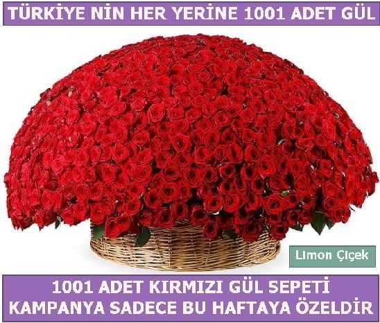 1001 Adet kırmızı gül Bu haftaya özel  Antalya Melisa Melisa İnternetten çiçek siparişi 