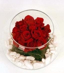Cam fanusta 11 adet kırmızı gül  Antalya Melisa çiçek gönderme 