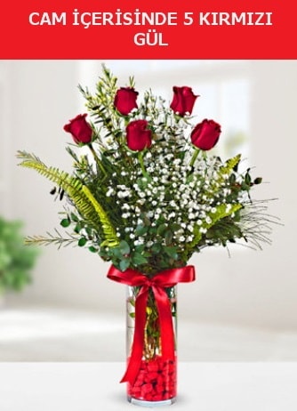 Cam içerisinde 5 adet kırmızı gül  Antalya Melisa çiçek siparişi sitesi 